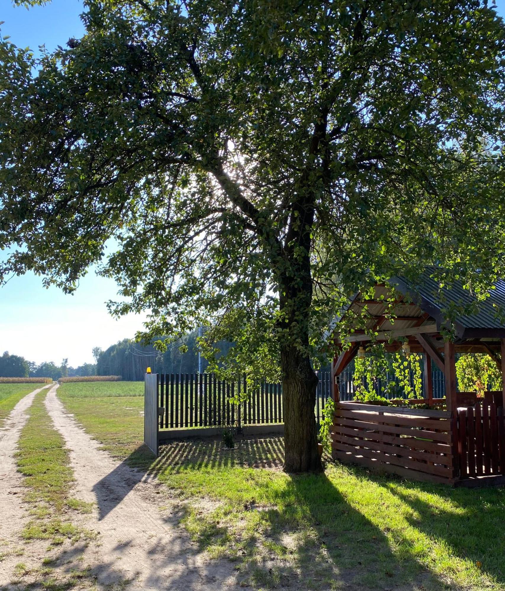 Maciejowka Gospodarstwo Agroturystyczne Poddebice Exteriér fotografie
