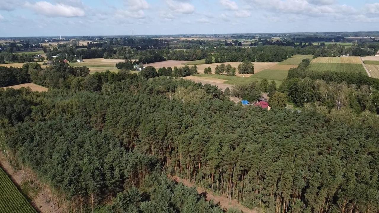 Maciejowka Gospodarstwo Agroturystyczne Poddebice Exteriér fotografie