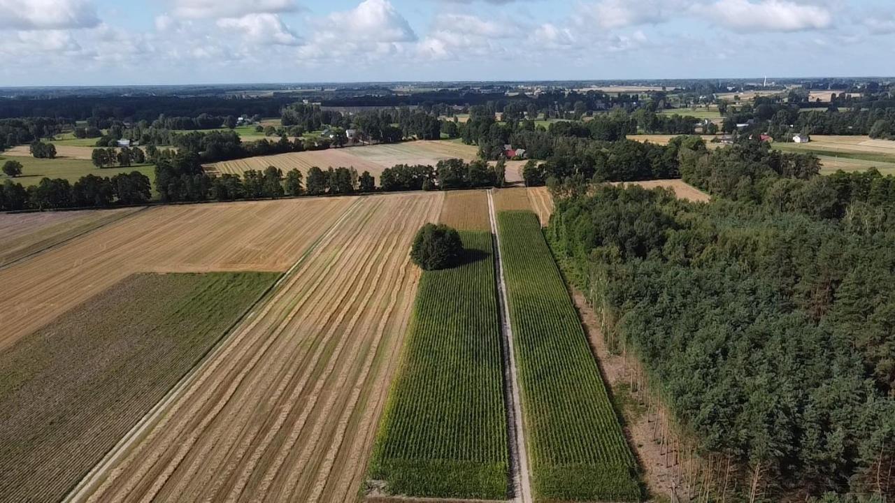 Maciejowka Gospodarstwo Agroturystyczne Poddebice Exteriér fotografie