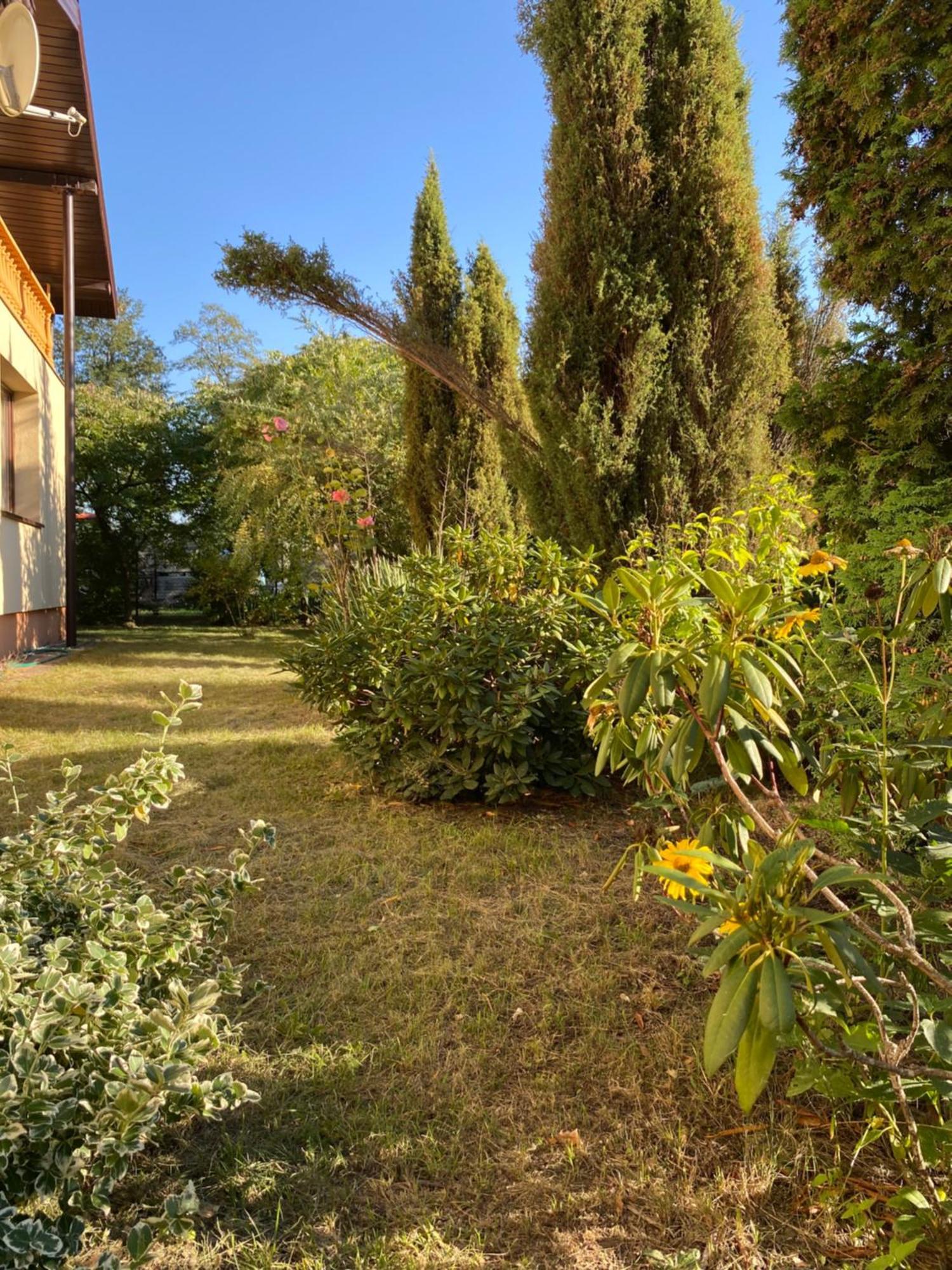 Maciejowka Gospodarstwo Agroturystyczne Poddebice Exteriér fotografie